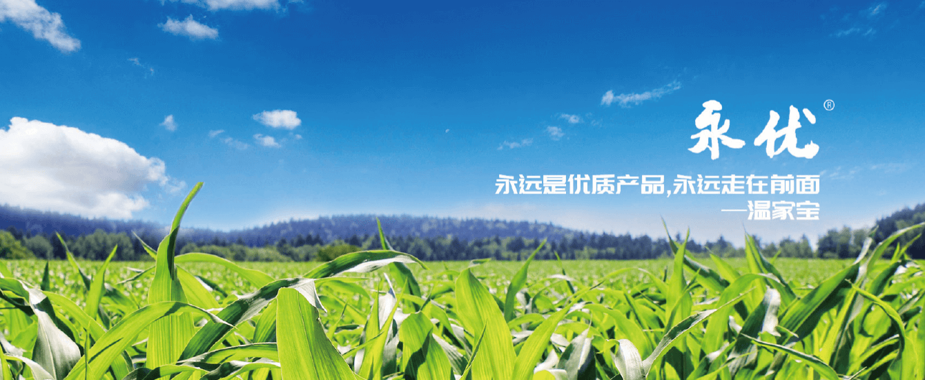 制造工厂